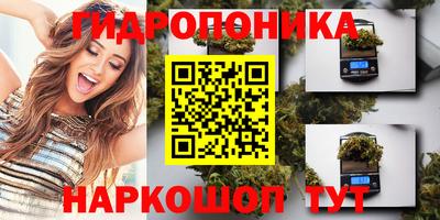 эйфоретик Тайшет